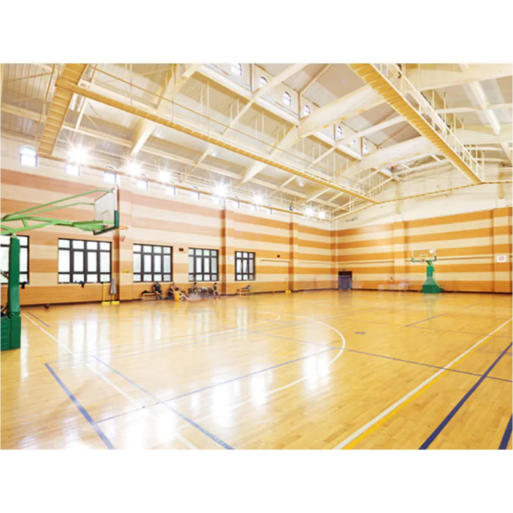 Indoor Courts
